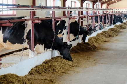 ��������� ��������� ��������� ������� �������� �������� � �������������� ������� ��������� ��������