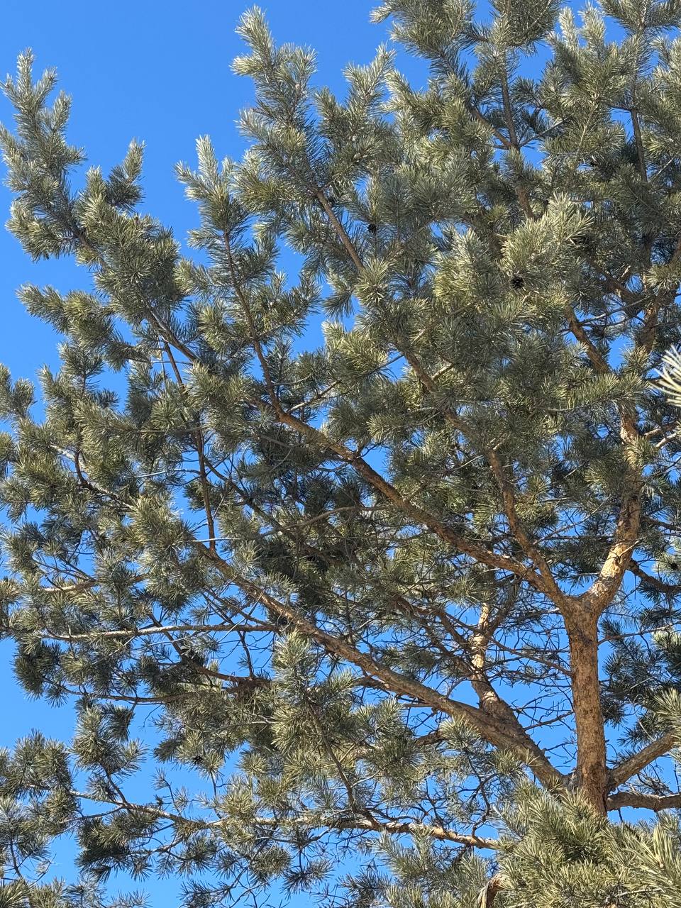 Доброе утро, Иркутская область!