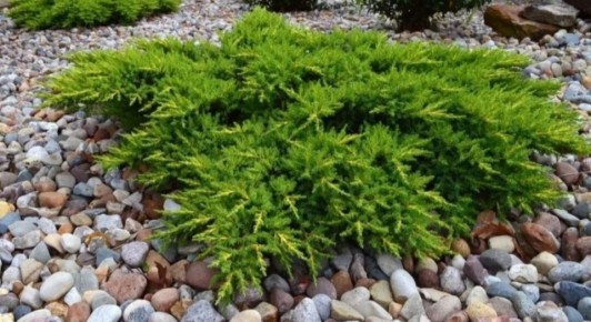 ������ ����� �������� ������������� ��� ���� � ���� ����