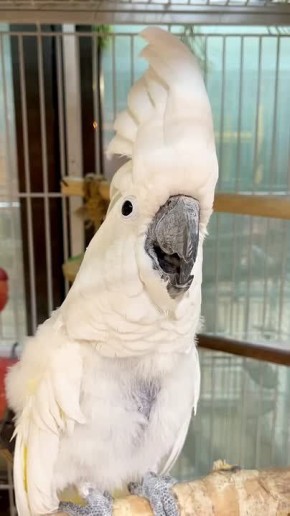 ������ ����, ��������� �������!