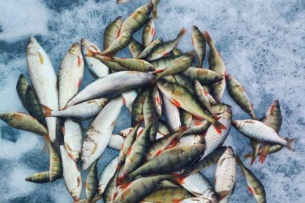 ������ ����� ������� � ���������