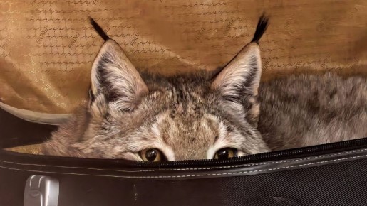 ������ ����, ����������!. ������� ���������� ���������� � ���������� �������� � ���� � ������ ����