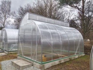 ��� ����������� ������� � ������ ������: ������ ��������