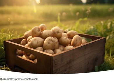 ��� ������� ������ ���������: ������� ����������� � �����