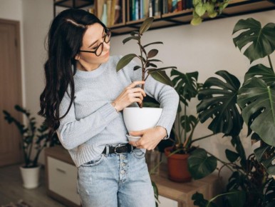 Стиль и простота: топ домашних растений на 2025 год