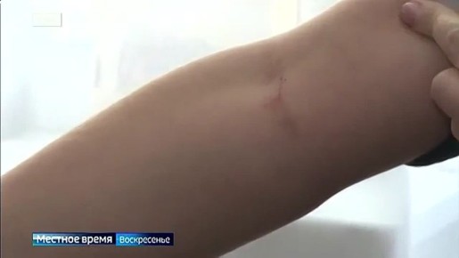 ������ � ���������� � ��������