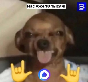 "Вести-Иркутск" в мессенджере MAX