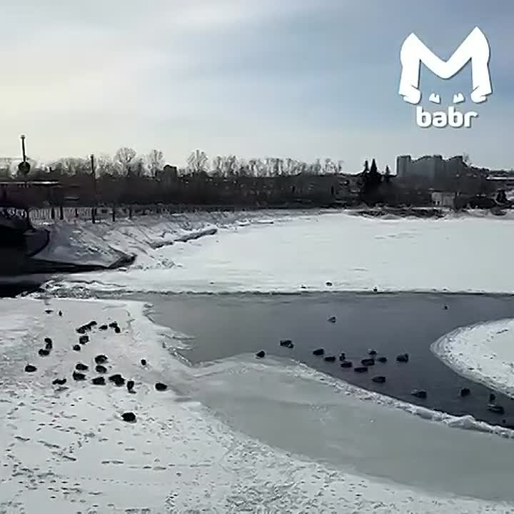 Два необычных явления сняли в Иркутске — солнечное гало и ледяной круг на реке