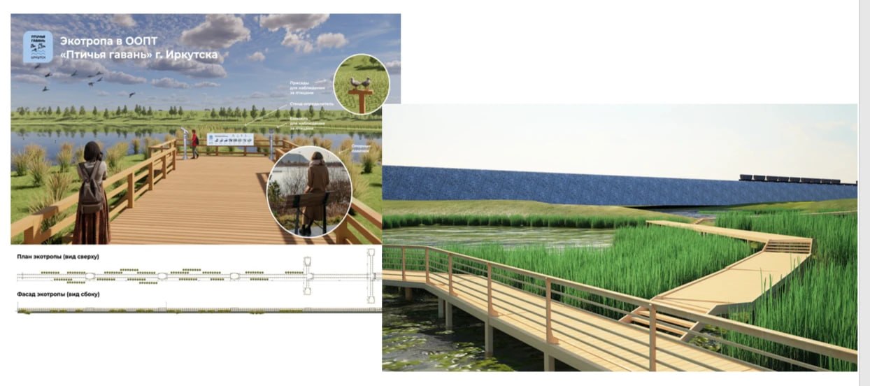 В «Птичьей гавани» в Иркутске появится экологическая тропа
