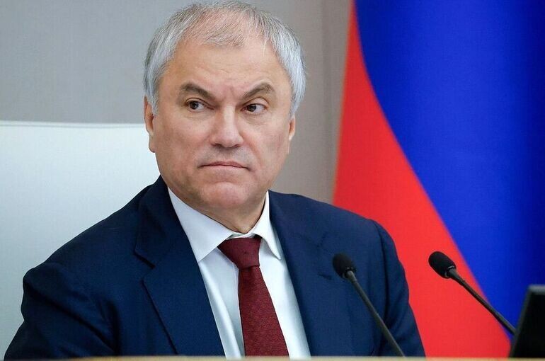 Новые меры для контроля миграции: Володин о законопроектах Госдумы