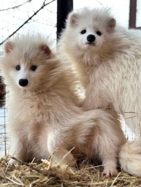 ������ ����, ��������� �������!