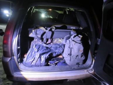 � ������������ ������ ����������� ��������� ������������� � �������������