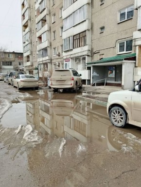 � ���������� ������������ ���� ����