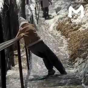 ������ ���� ���������� ���� � ������� � ��������� � ������������� �������