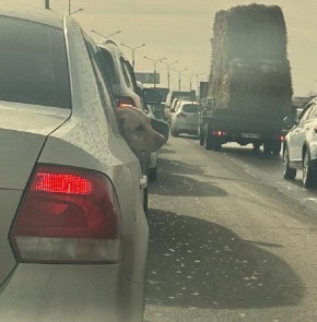 ����� ����� �� ������� � ����������� ����� �� ����, � �������� ����� �� ������