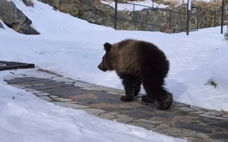 ��������� ���������� ����� ����� ���������������� �/� ������ � ��������