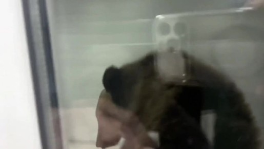 ���������� ����������� ���������� ����� ������� ������ ������ ���������������� �������� ������ � ��������� �������