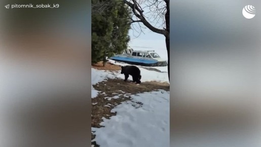 1 ����������� ���������� ����� �� ���������������� �������� ������ � �������� � ��������� ���������