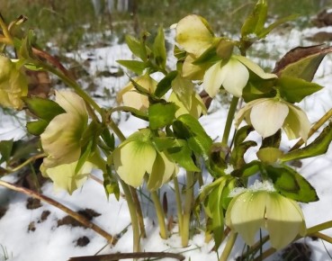 ��������: ���������� � ������� ��������� ������