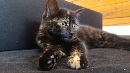 ������, ���� ������ ����� ������� � ���� �������