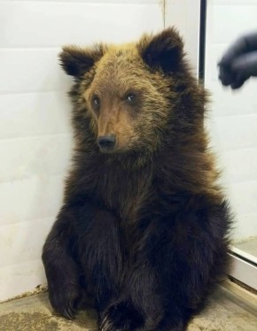 � �9 ����� �����. � �������� ��������� ����������� ����������