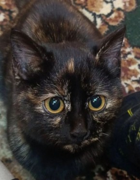 #��������:. �������������� ������! ����� ������� ��� ������� ����� ������. ��� ���� ������������ �� ����� ������������ ��� 112/3 �� ����. ������ ���������, �������. �������� ��, ����� �������� �����. ��� ������� �������....