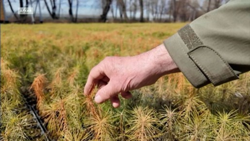 ��������� ������� � ����� ������������ ����� �� ����� ��� 19�� ���� ����� ��������