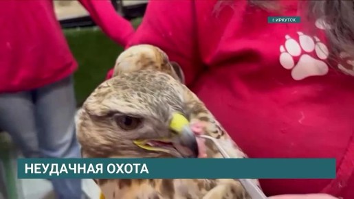 ���������� ������ � �������� � �����