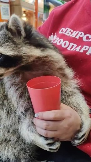 Доброе утро, Иркутская область!