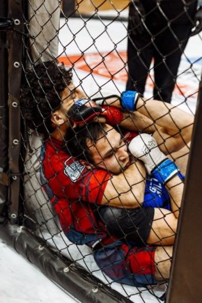 ���������� ��������� ������� �������� 28 ������� �� ���������� � ���������� ���������� ������������ ������ �� ���������� ������� ������������ (���)