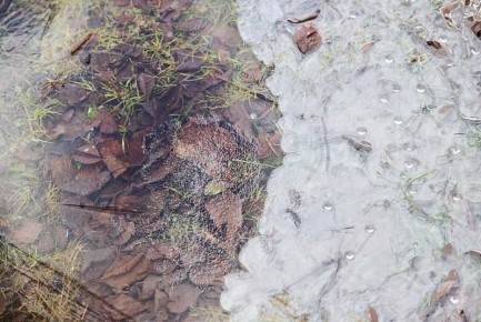 Доброе утро!. Дождались, вот она, любимая — пятница! А если еще и с погодой в такой день везет, то идеальное настроение перед выходными обеспечено