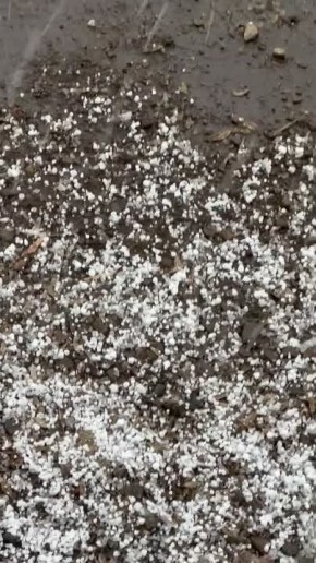 �������� �������