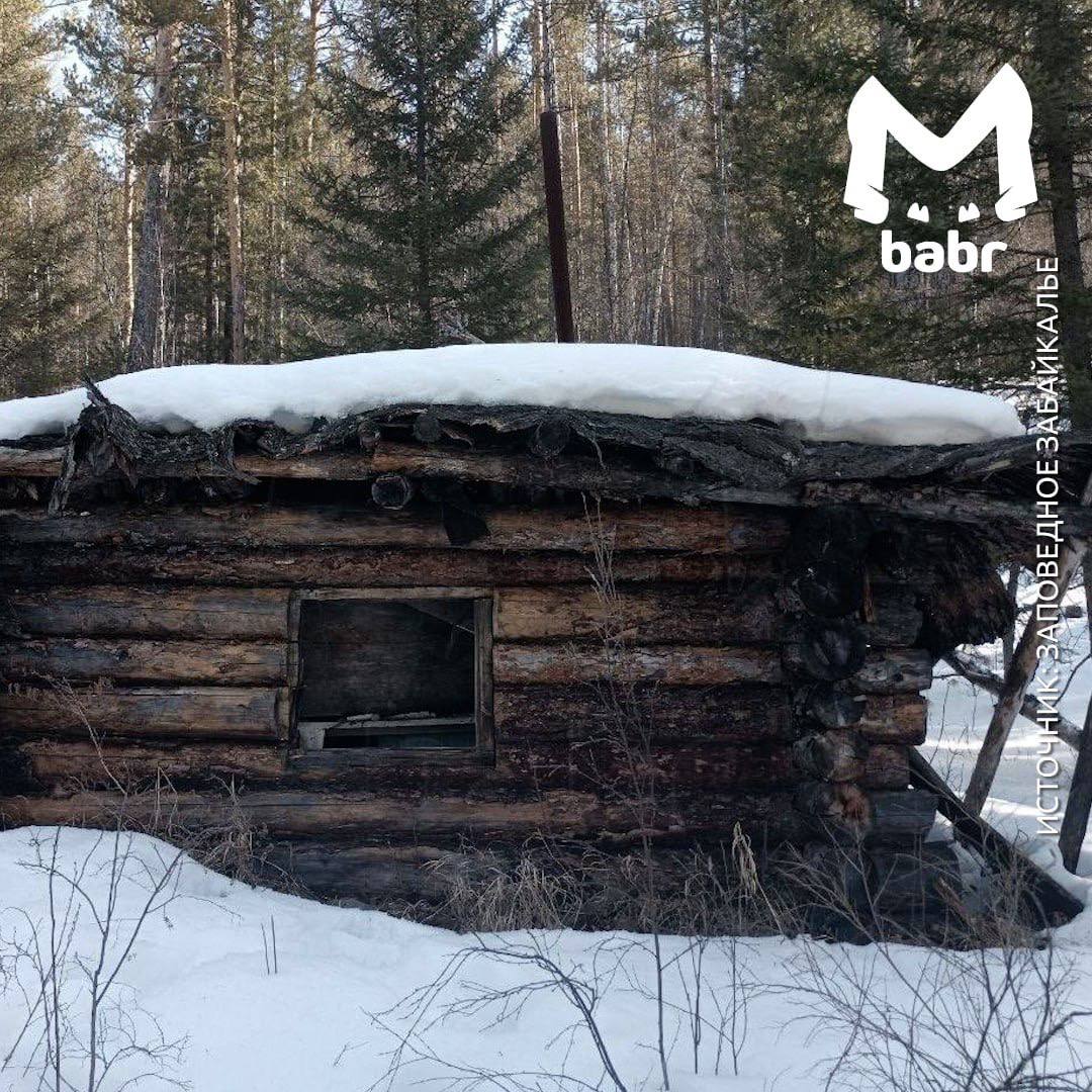 Медведь в поисках вкусняшек разгромил зимовье в Забайкалье