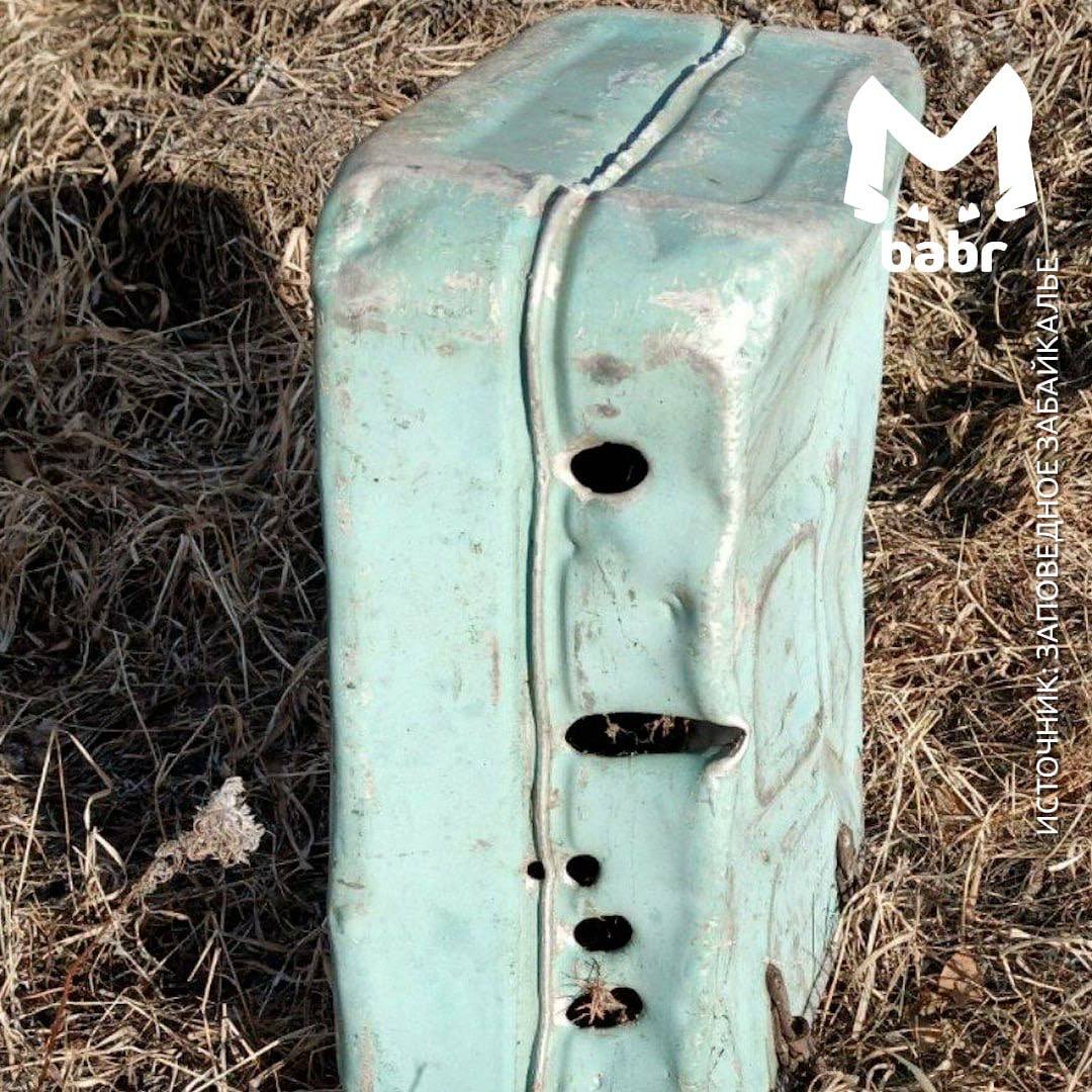 Медведь в поисках вкусняшек разгромил зимовье в Забайкалье Медведь в поисках вкусняшек разгромил зимовье в Забайкалье