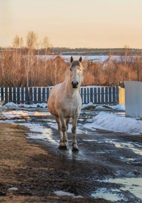 �� ���� �� ����� �������� ������ ������� ������ �������� ������ ����� ����