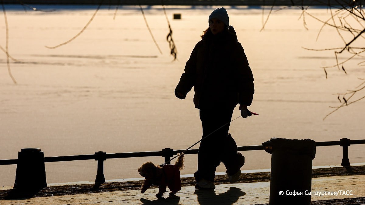 Потепление до +16 °C и интенсивное снеготаяние ожидаются в ближайшие дни в ряде регионов Сибири, сообщают синоптики