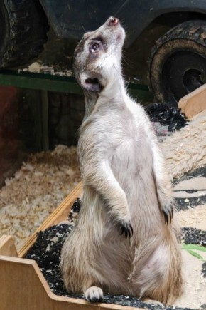 ��� �� ��, ��������? ���� ��� ������ �������? ������� �� ���������� �������� �������� ����������� � ���� ������� �� ����, ������� ���������� � �� �������� �� ����������� ������� �� �����������?