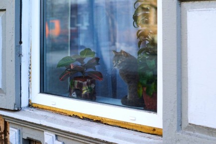 ������ ����!. ����������� ��� ����� ����� ������������ � ������� � �������� ��� ����� �����: