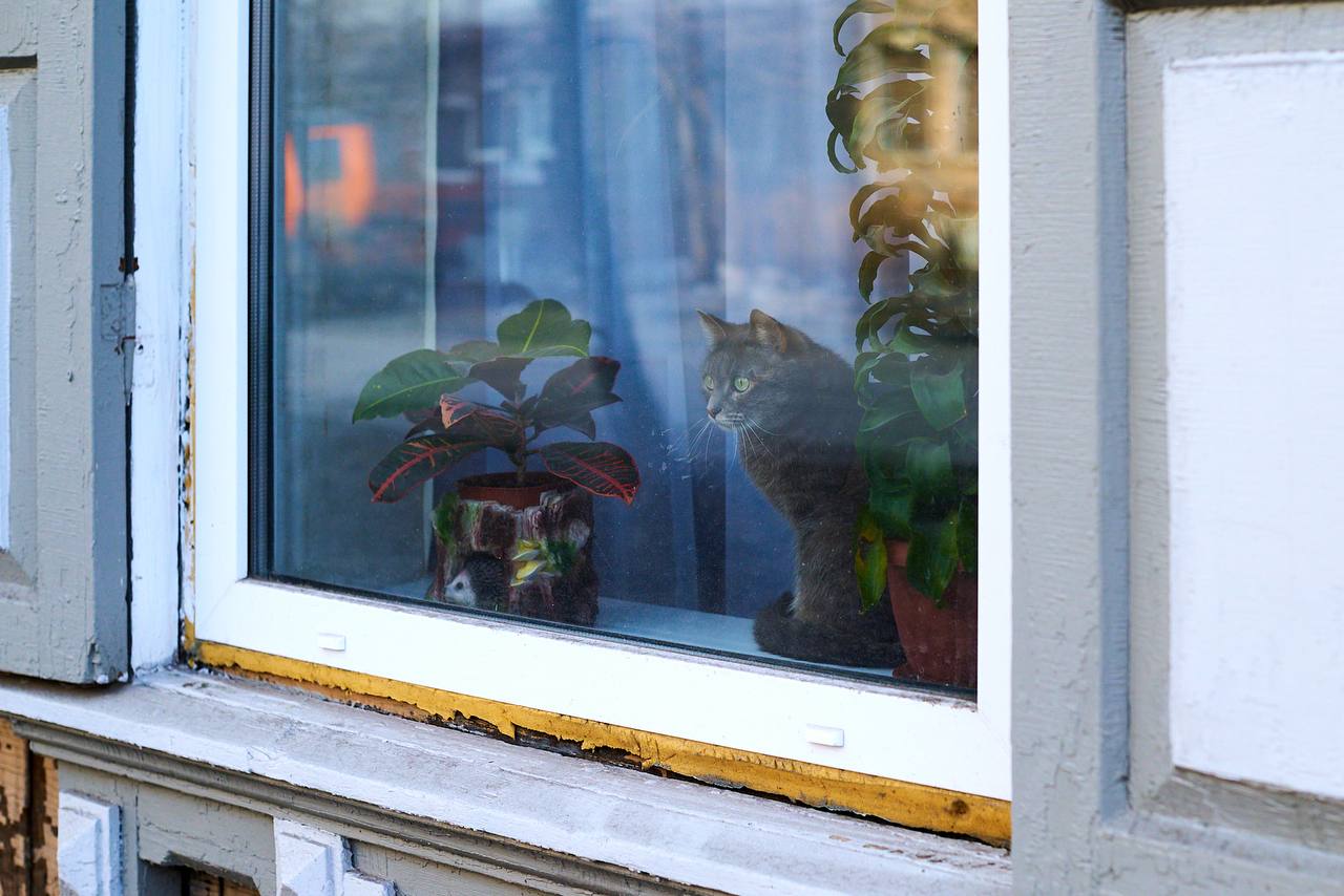 Доброе утро!. Понедельник как будто решил объединиться с погодой и устроить нам такое комбо: