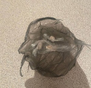 � ������� ����������� ��������� �������� ������ �� ���� ����������� ���������������