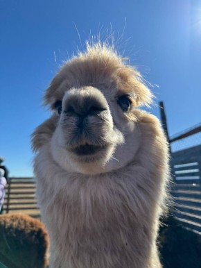 ������ ����, �������. ������� � ������ ��������� �� +3�+5 ��������, ������� �� ���������