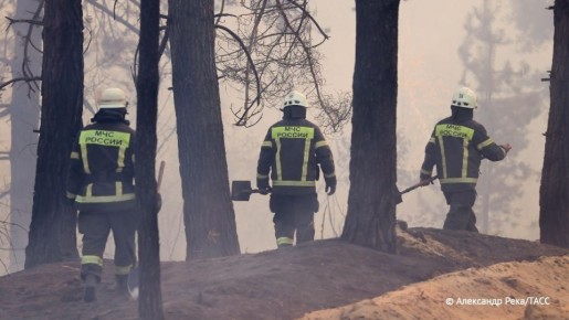 МЧС ожидает осложнения обстановки с ландшафтными пожарами в апреле-мае в четырех регионах Сибири — Хакасии, Алтайском крае, Новосибирской и Омской областях