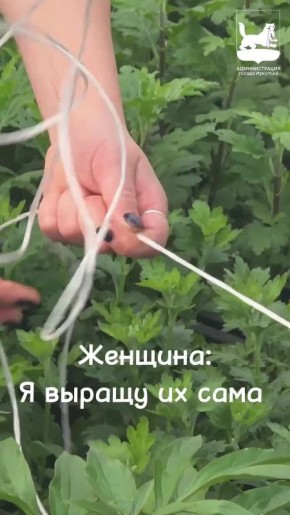 �������, ������� ������� ���������� ����� � �����, ����� � �������� �������������