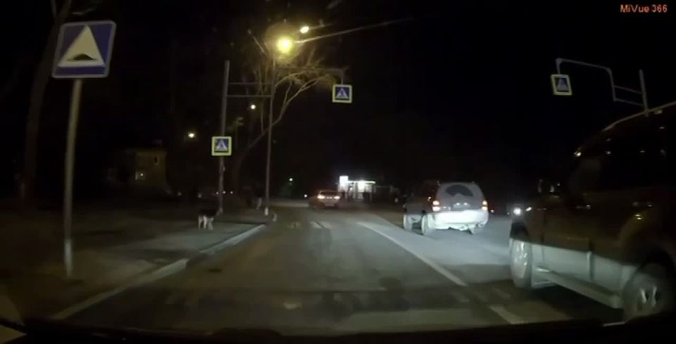 � �������� ������������ ������� ����� ������ ���� ���������� ��������� ��������