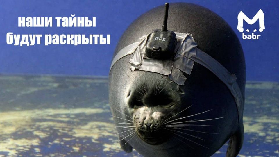 GPS-������ ��������� ������ �� �������