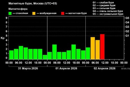 ������� 2 ������ �� ����� �������� ��������� ����