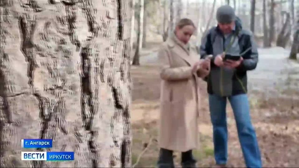 ������ ��������� ������� �������� �� ���������� ������� �� ���������� � ������������ � �������