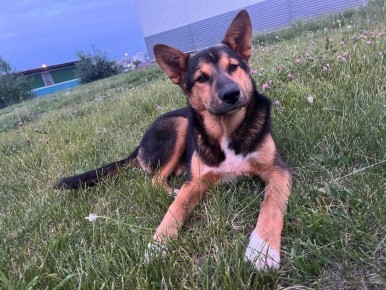 137 ������� ��������� � ��������������� �� ��������� ������ �� ���������� ��������