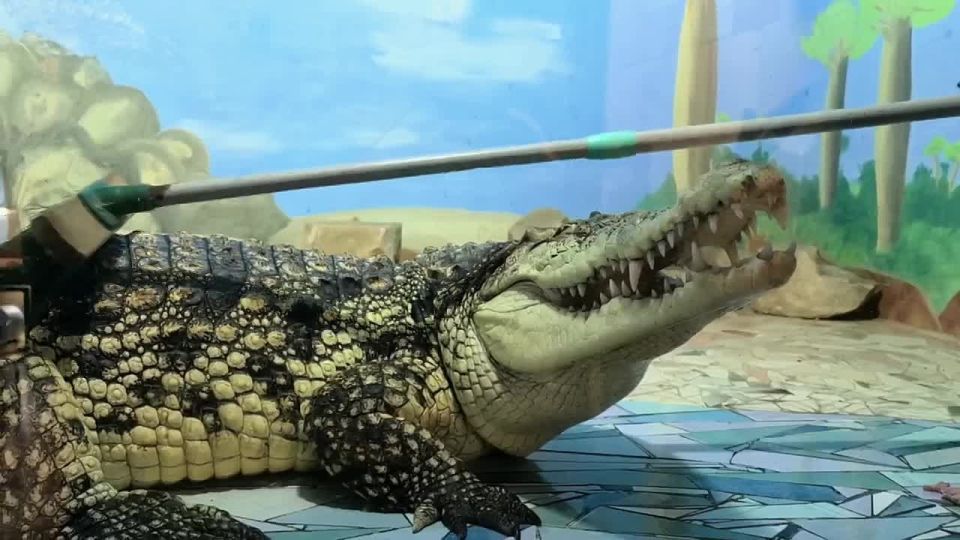 ����� ������� ����������� � ������������ � ��������� ��������