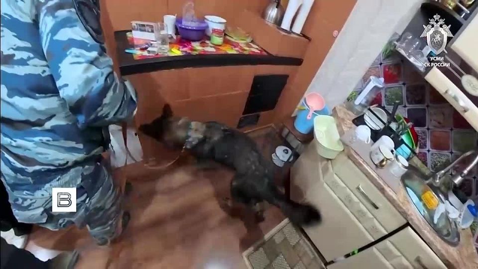 ����� ���������� ���������� ���� � ��������� ����� � �������������� ��������� � ��������